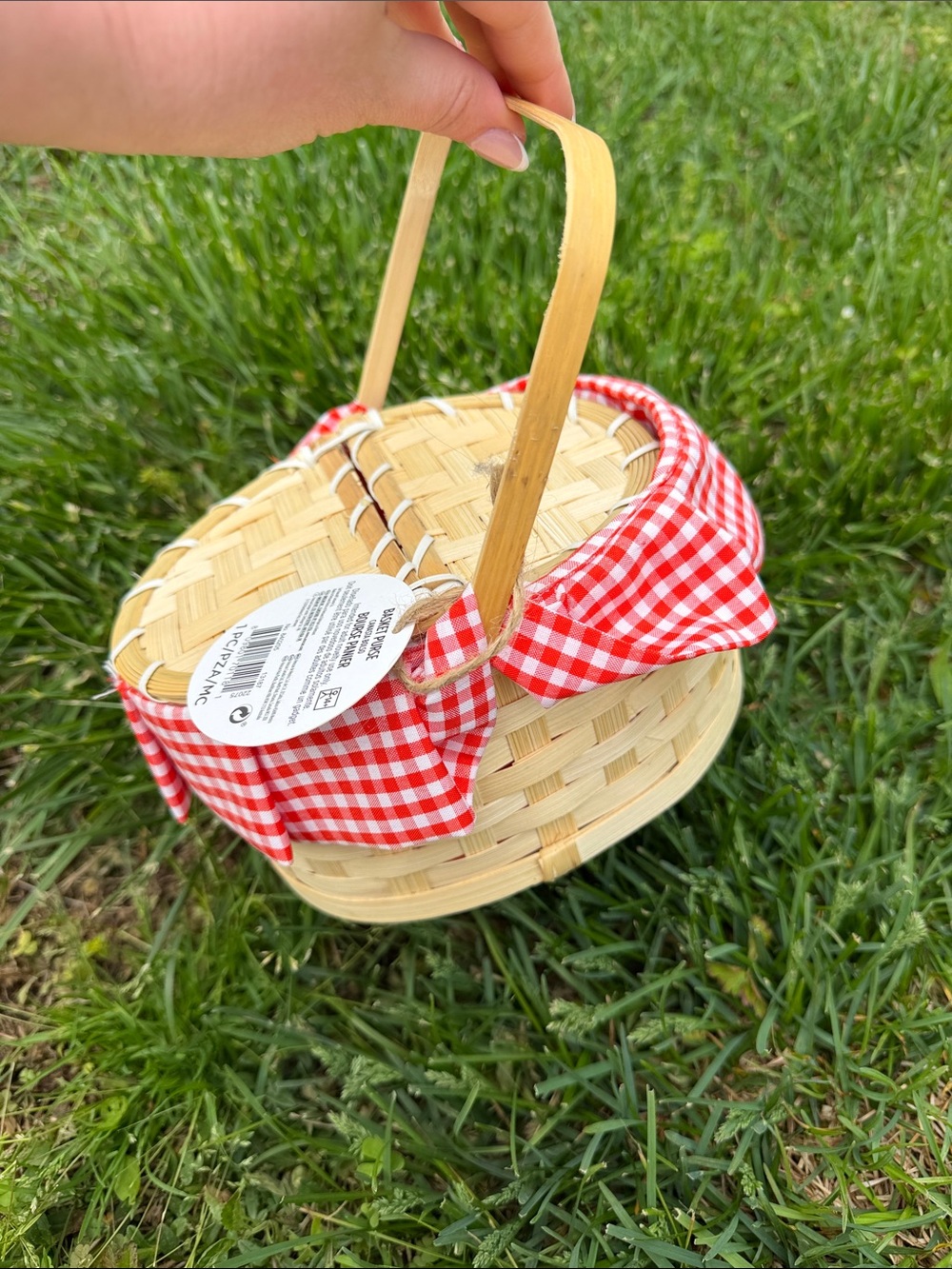 NWT✨ Woven Picnic Basket with Red Gingham Liner